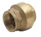 3/4" In-Line Check Valve